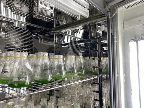 新知 細胞工廠,萬物皆可 造 揭秘神奇的 微生物打工仔