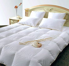 杭州蕭山新欣羽絨制品